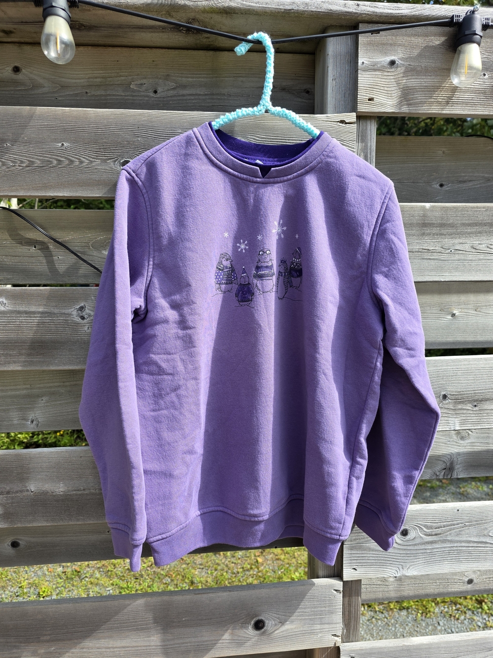 Northern Reflections Winter Graphic Sweatshirt | Size Small | Vintage